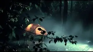 Night Rain with Wind
