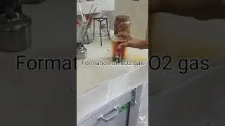 Formation of NO2 gas