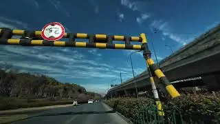 Immersive Chinese Music Appreciation While Driving
