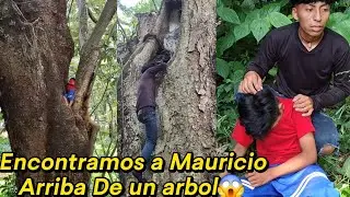 Ever Rescata a Mauricio😱Encontramos a Mauricio Arriba de Un arbol😭