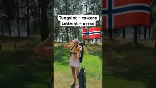 Tungvint &ndash; tungt, vanskelig.Lettvint &ndash; lett, enkelt. #нашивнорвегии #норвегия