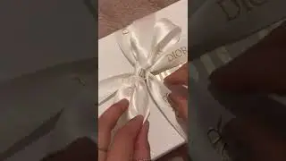 Dior Saddle Wallet