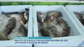 Agro Record: Peixes de projeto social ajudam fam&iacute;lias carentes