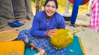 इतना बडा पपीता 🥑🍑Bahut Bada Papita |Big papaya  pushpa official | pushpa official 55 | pushpa vlogs