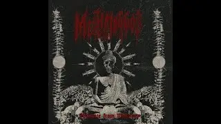 Methmaggot &ndash; Guidance from Madness (Album 2025)