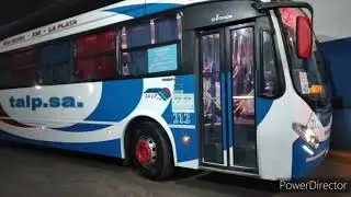 colectivos platenses 2021 fotos y videos