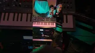 Feeling The Funk Today 😜 Ableton Push 3 Standalone #abletonpush3