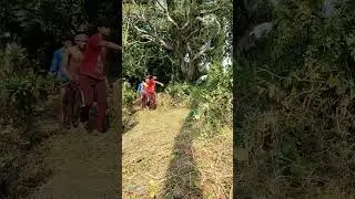 #youtubeshorts