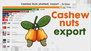 LARGEST CASHEW NUTS EXPORTERS IN THE WORLD