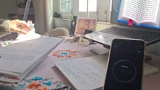 Studying (sunny day) 8.1.26 [No sound]