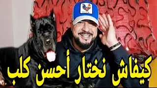 باغي تشري كلب خاصك تفرج فهاد الفيديو