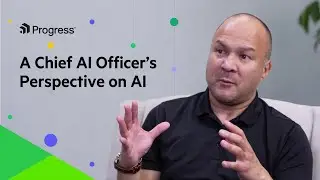A Chief AI Officer&rsquo;s Perspective on AI​