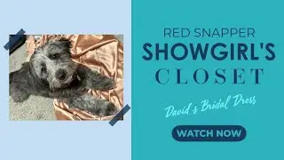 Showgirl's Closet: David's Bridal Dress Score!