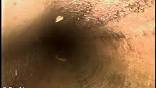 Craig   Sewer Line   SW 97th Ave   11142018