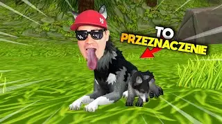 🐺 JESTEM WILKIEM I ZJADAM KRÓLIKI | Wildcraft 🐺