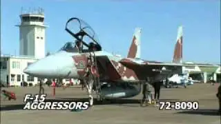 航空自衛隊　アグレッサー