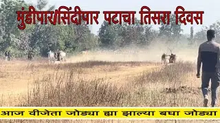 मुंडीपार/सिंदीपार पटाचा तिसरा दिवस आलेल्या बैल जोड्या | Day 3 | बैल जोड्यांची झुंज