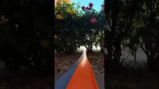 Longest Hot Wheels SONIC POV