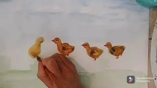How to paint chicks/baby chicken, 🐤🐤 watercolorpainting.