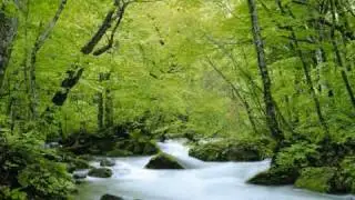 Within Temptation - Never-Ending Story (Acoustic)