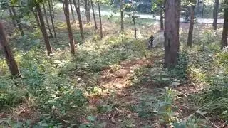 KLX vs mocin bebek Latber trabas