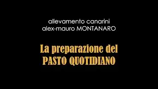 Il Pasto Quotidiano per Canarini - alex-mauro MONTANARO