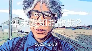 【ゆきさんぽ】年末愛知お散歩2 〜津島神社へ行ってみよう