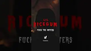 &ldquo;FUCK THE HATERS&rdquo; is a dark/gloomy track from rapper LIL RICEGUM&rsquo;s upcoming debut album SUKKHADUKKHA