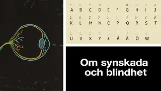 Om synskada och blindhet