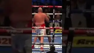 Tyson Fury vs Dillian Whyte Knockout #boxing #boks