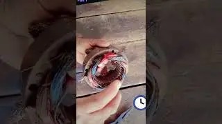 #howtohandle1vs4situationinfreefire #experiment   to rewinding washing machine motor