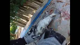 How to clean a fish in 2 minutes. 