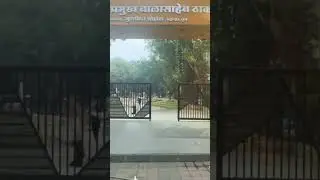 Beautiful garden in Pune 🫶 #shorts #youtubeshorts #trending #viral #pune #punetourism #travel