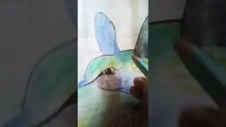 Drawing bird with pencil  colour #drawingyt