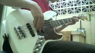 RHCP - Falling Into Grace [Bass Cover]