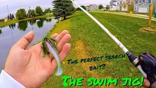 The Swim Jig- The Perfect Search Bait?