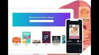 Canva Group Buy starting just $3 per month