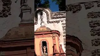 BarrelOrgan#barrelorgan#alcazar#gardens#shorts#