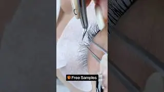 3D W-Shape Pre-made Fans Clover Eyelashes Free Samples #eyelashextensions #lashtech