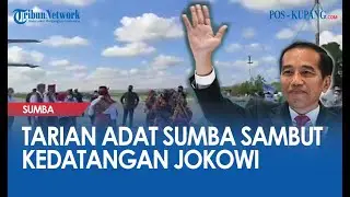 Tarian Adat Sumba Sambut Kedatangan Jokowi di Sumba Timur