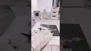 開箱芙專￼🤍請星船告訴我OK繃和海報在哪裡？｜吐槽班上男生￼ #kpop #追星 #開箱 #ive #張員瑛 #安俞真 #liz #gaeul #rei #leeseo #吐槽