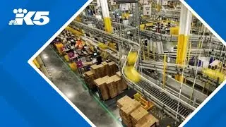 Senate investigation reveals 'deeply troubling' pattern of injuries at Amazon warehouses