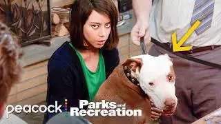 Champion being a good boy for 12 minutes straight | Parks and Recreation