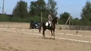Dressage.14sept'09
