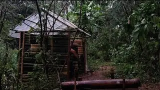 1 Day Solo Survival Camping Heavy Rain |  Bushcraft Shelter in Wild Forest Adventure