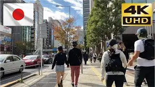【4K JAPAN WALK】青山を散歩してみた①【東京散歩】