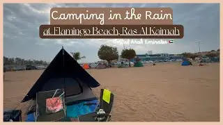 Rainy Beach Camping in UAE 🌧️ | Flamingo Beach Ras Al Khaimah Camping Experience