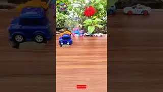 ASMR mini car, toy car, kereta api,bus Tayo,cat car cartoon video #asmr #kids #toys #car #shorts