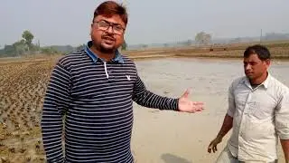 Netsurf results of Biofit at Orissa,Kamarda in Processing of Paddy