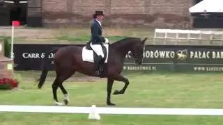 Ideal Girl pod Daria Kobiernik CIC 1* Baborówko 2016